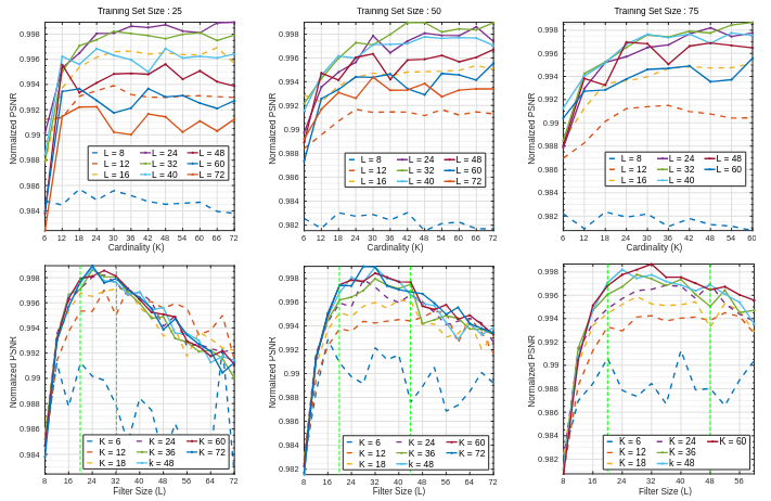 Hyper-parameter Selection on Convolutional Dictionary Learning Through Local ℓ0,∞ Norm
