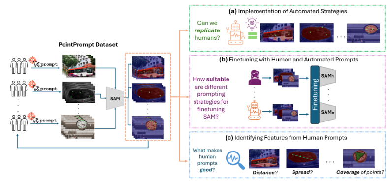 Benchmarking Human and Automated Prompting in the Segment Anything Model